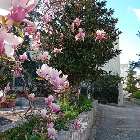 Mt House Apartment Alberobello Exterior photo