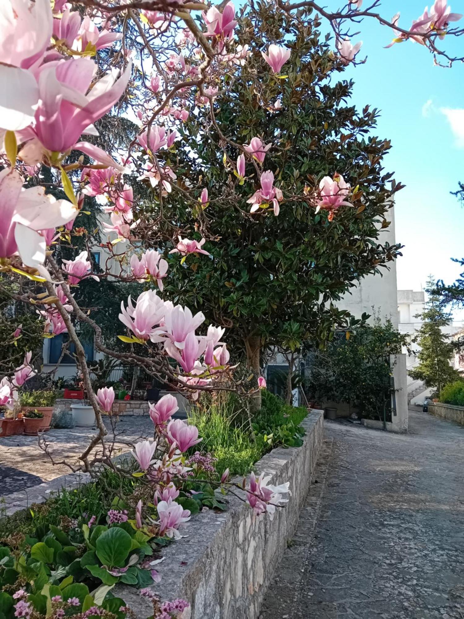 Mt House * Alberobello