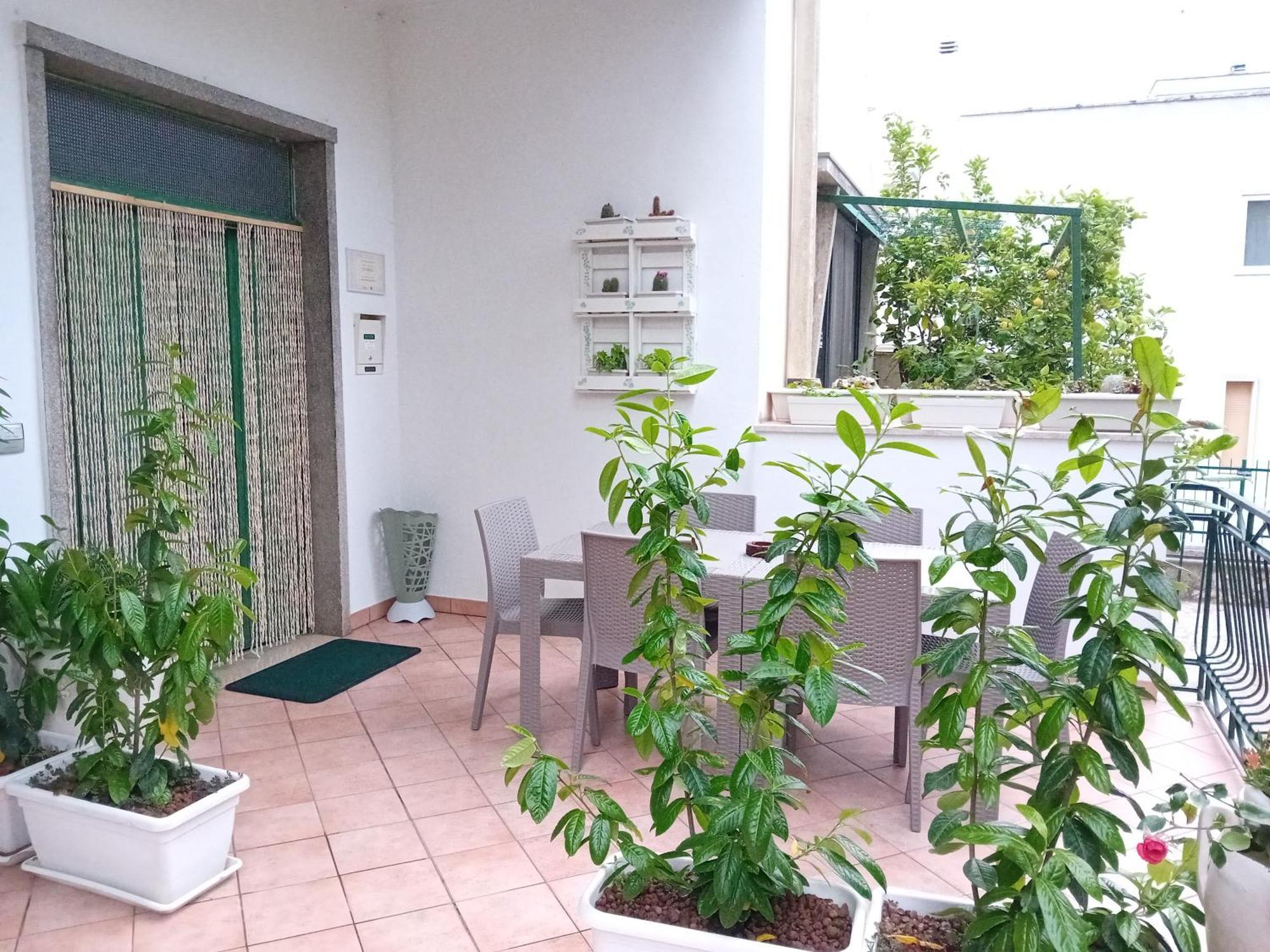 Mt House Apartment *